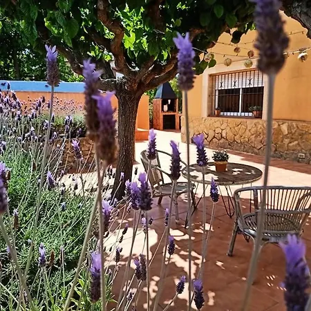 Feriehus Mas Del Vent- Barbacoa, Jardin, Piscina Privada Y Vistas A Mar Cunit